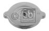 SCANI 0367762 Radiator Cap